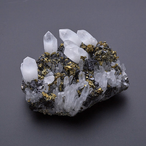 12/26より 新商品販売スタート