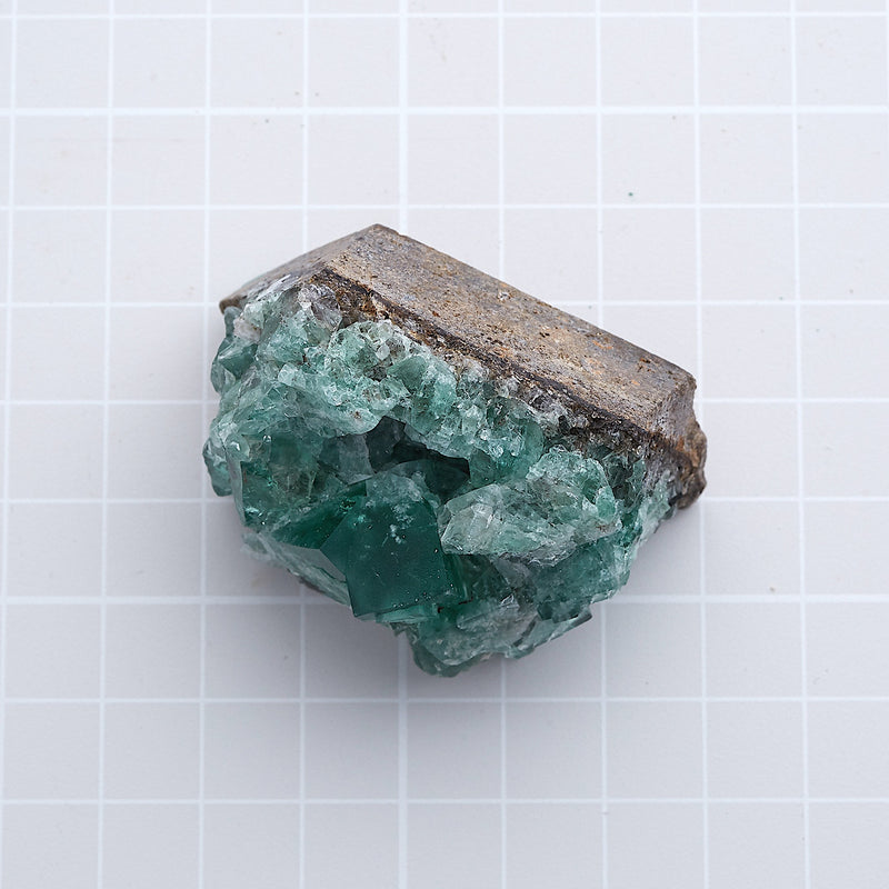 フローライト_40059B