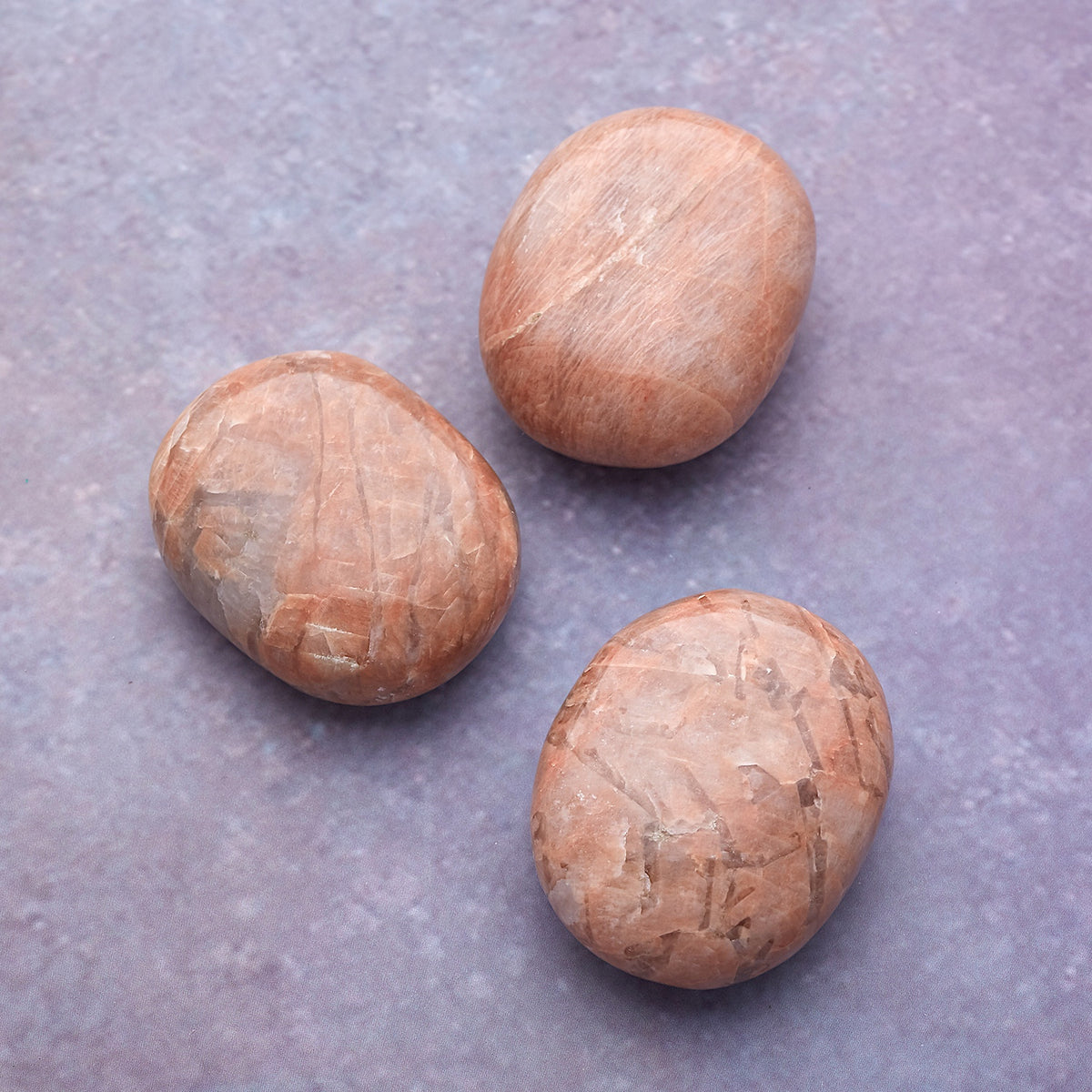 20241104uraoto45255_1200x.jpg?