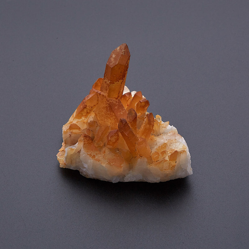 ゴールデンヒーラー_1834A