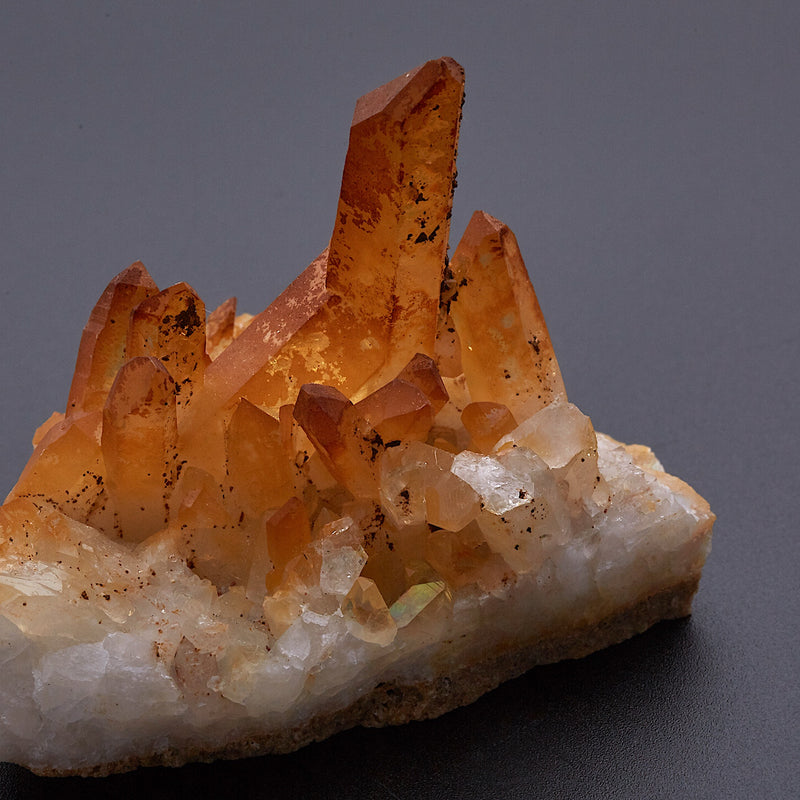 ゴールデンヒーラー_1834A