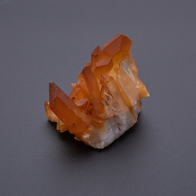 ゴールデンヒーラー_1834B