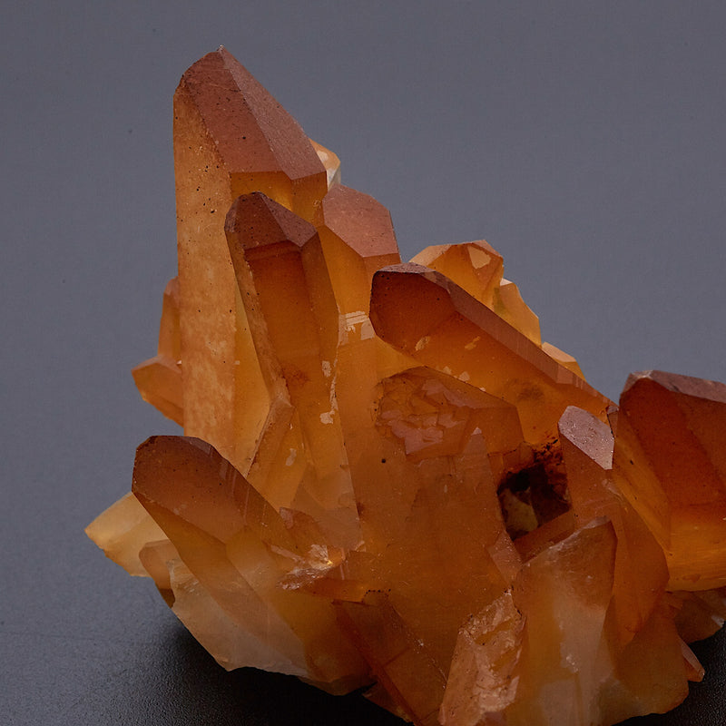 ゴールデンヒーラー_1834B