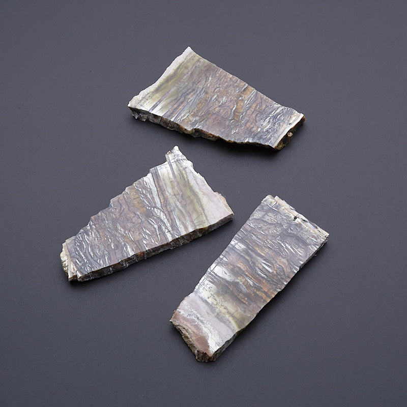 アリゾナピーターサイト_2207