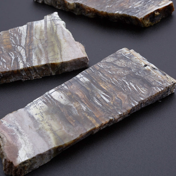 アリゾナピーターサイト_2207