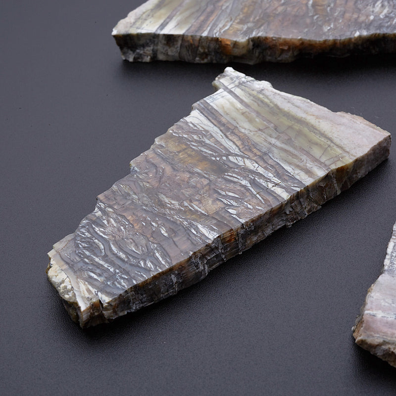 アリゾナピーターサイト_2207