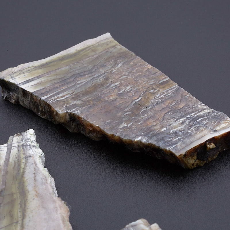 アリゾナピーターサイト_2207