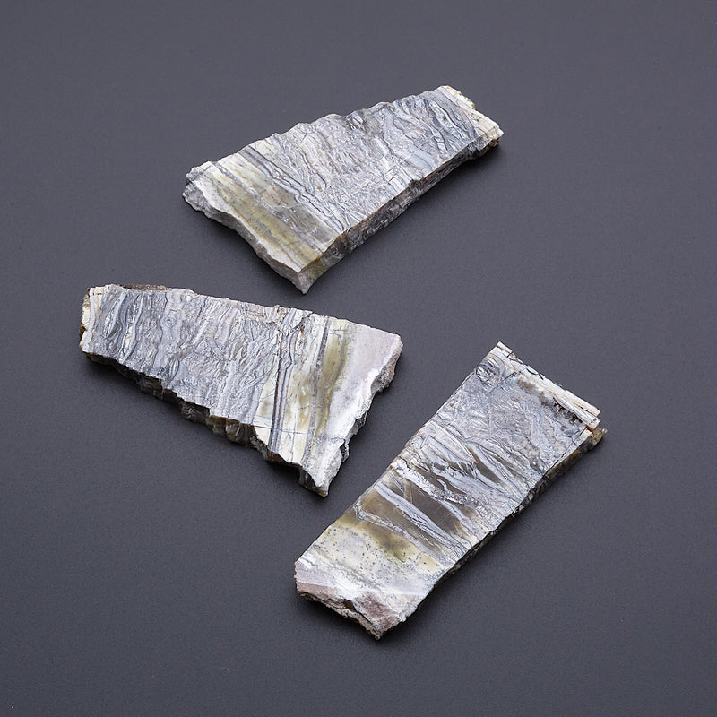 アリゾナピーターサイト_2207