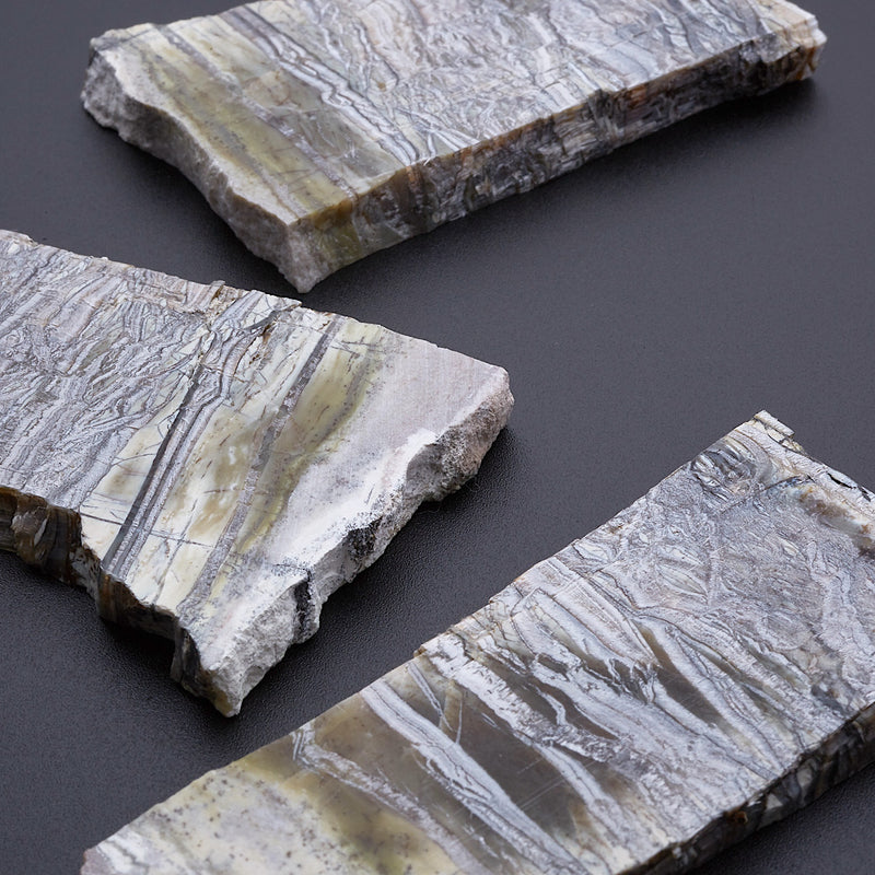 アリゾナピーターサイト_2207