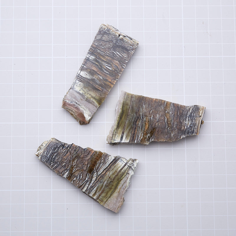 アリゾナピーターサイト_2207