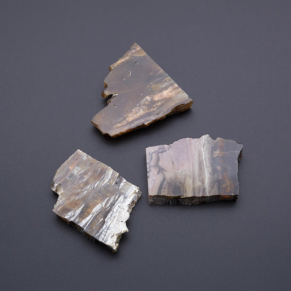 アリゾナピーターサイト_2208