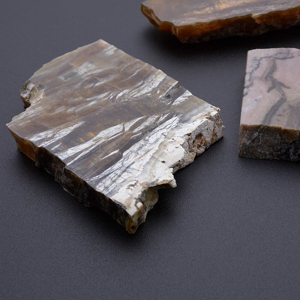 アリゾナピーターサイト_2208