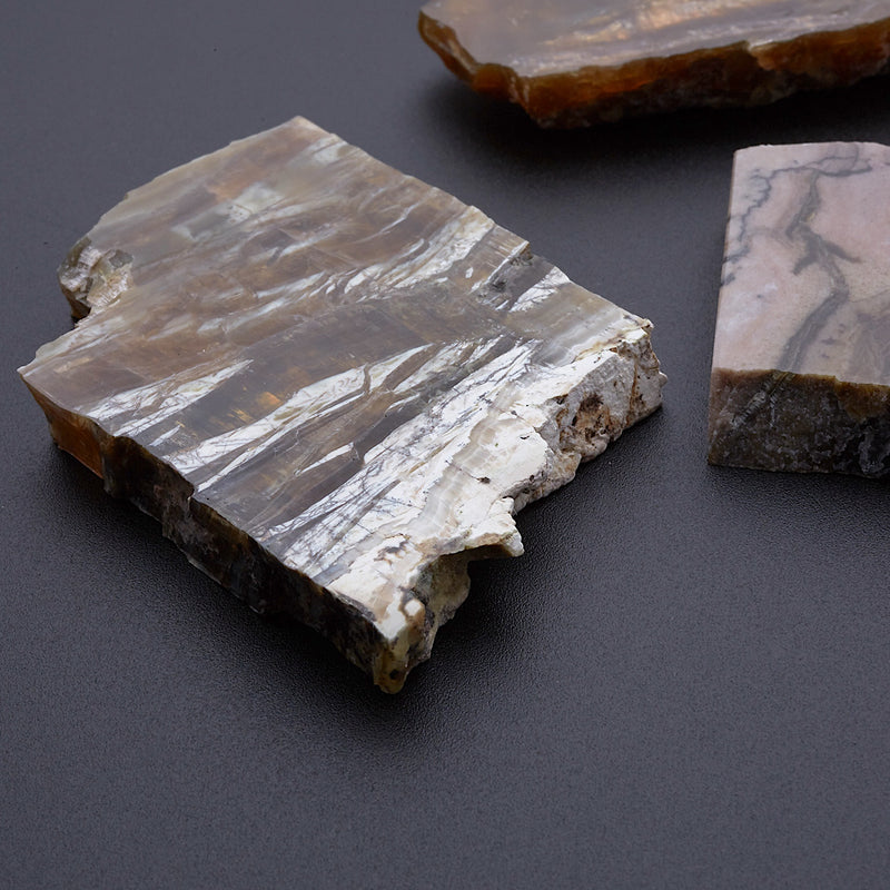 アリゾナピーターサイト_2208