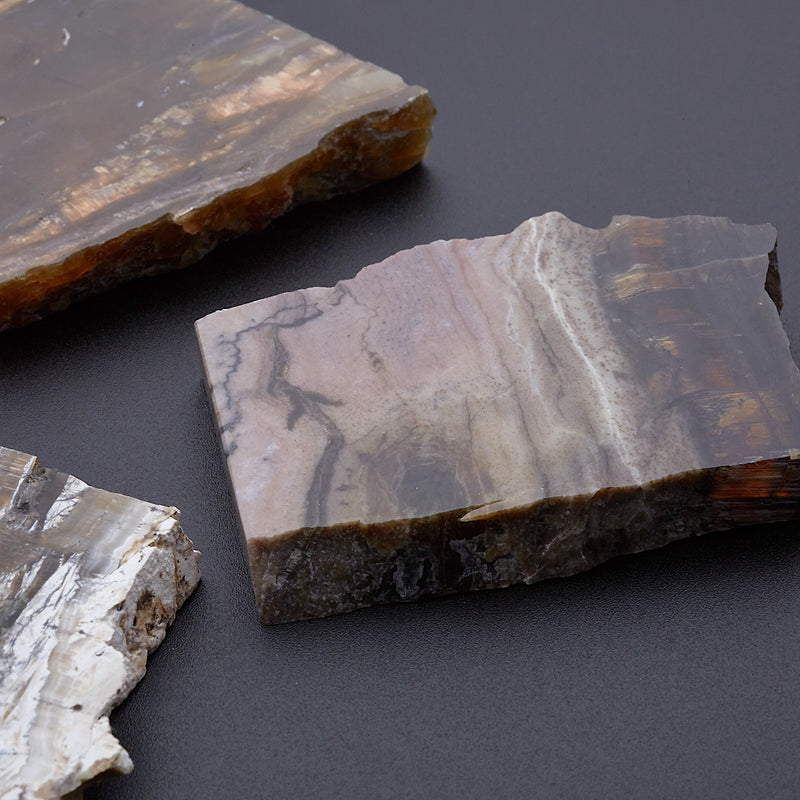 アリゾナピーターサイト_2208