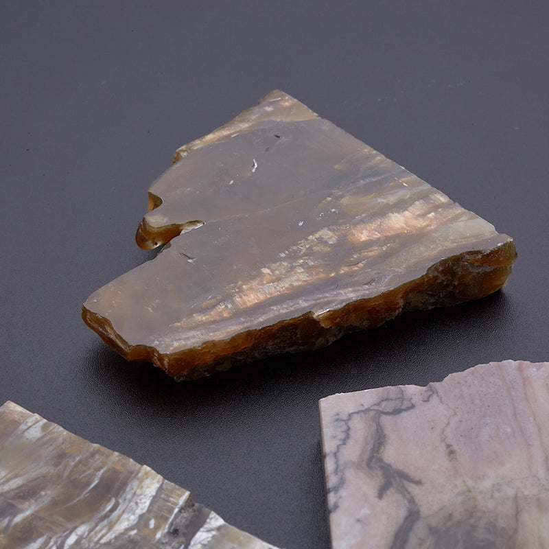 アリゾナピーターサイト_2208