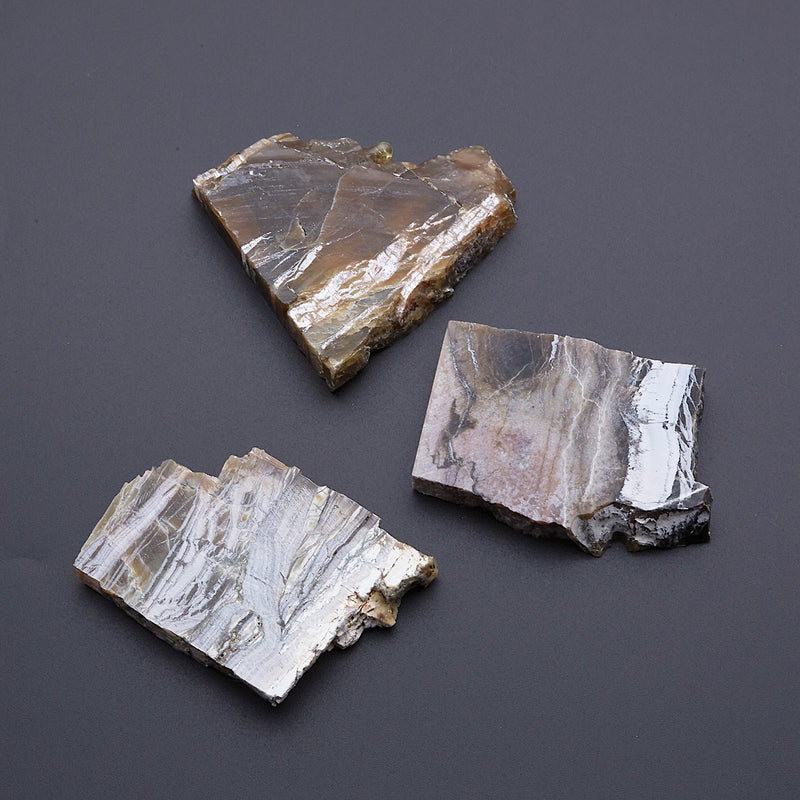 アリゾナピーターサイト_2208