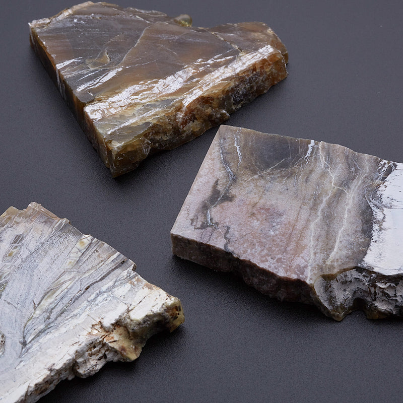 アリゾナピーターサイト_2208