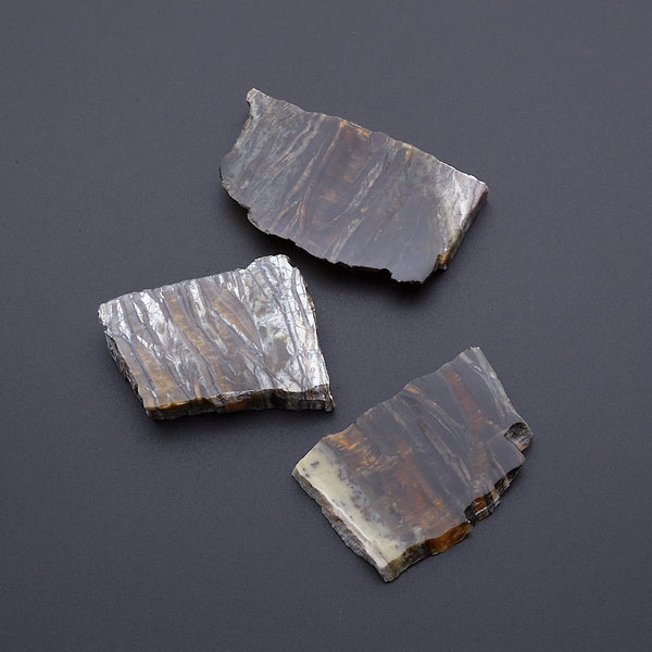 アリゾナピーターサイト_2209