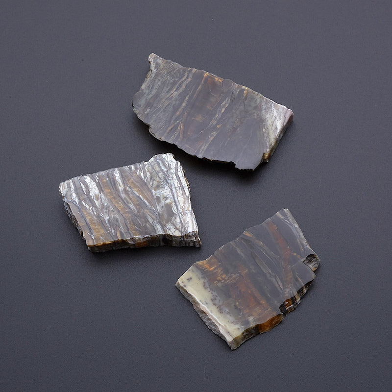 アリゾナピーターサイト_2209