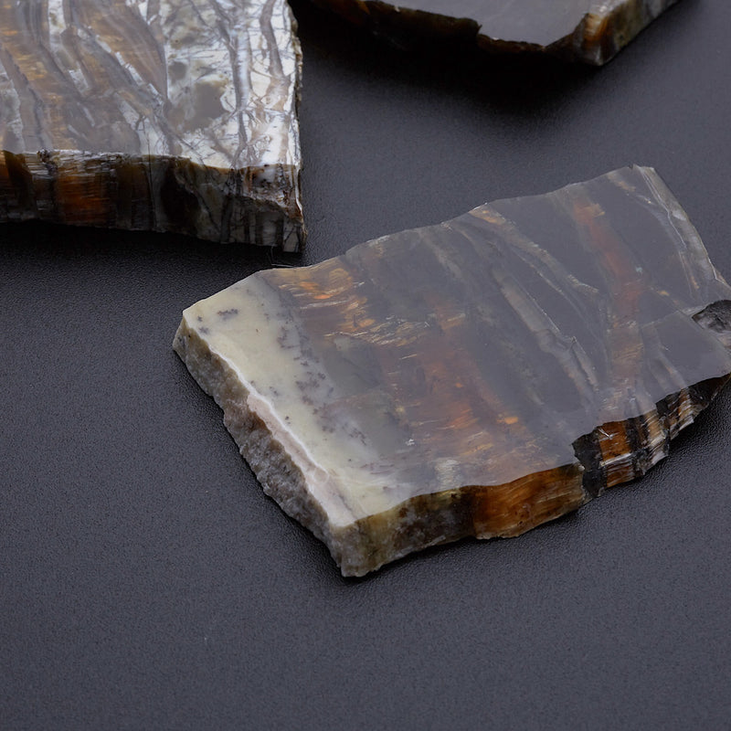 アリゾナピーターサイト_2209