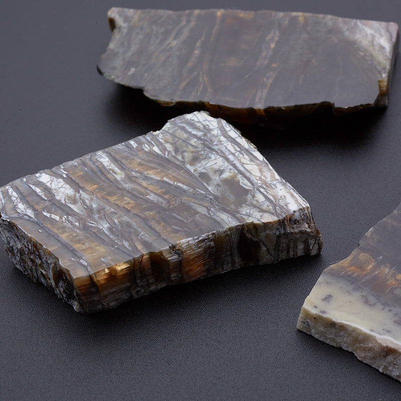 アリゾナピーターサイト_2209