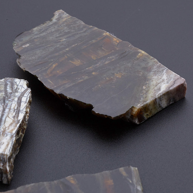 アリゾナピーターサイト_2209