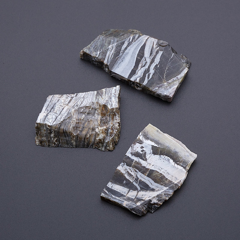 アリゾナピーターサイト_2209