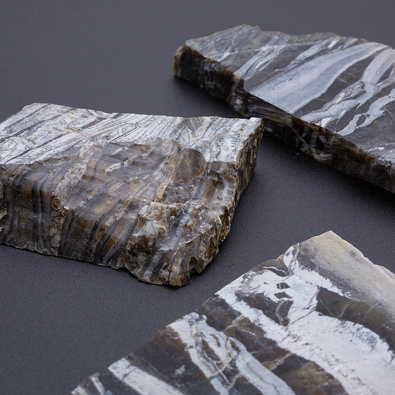 アリゾナピーターサイト_2209