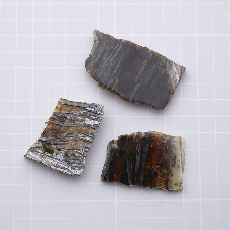 アリゾナピーターサイト_2209