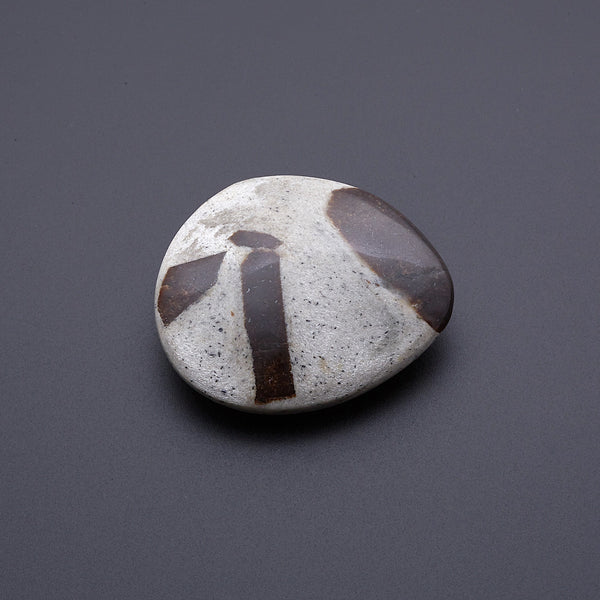 スタウロライト_2211A