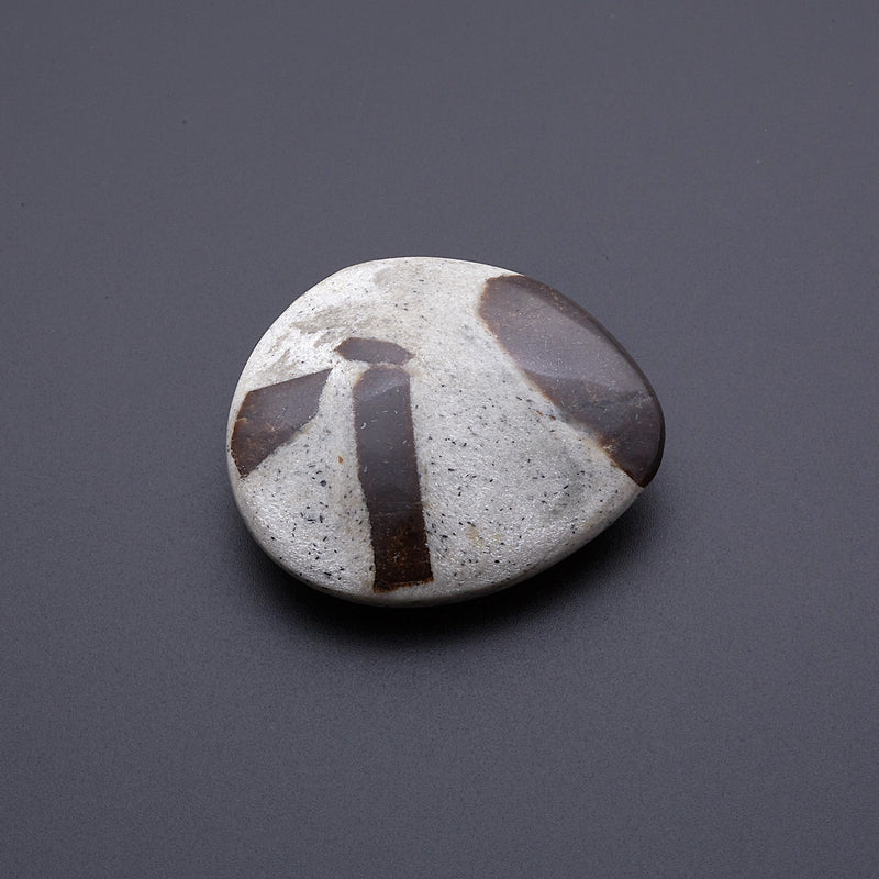 スタウロライト_2211A