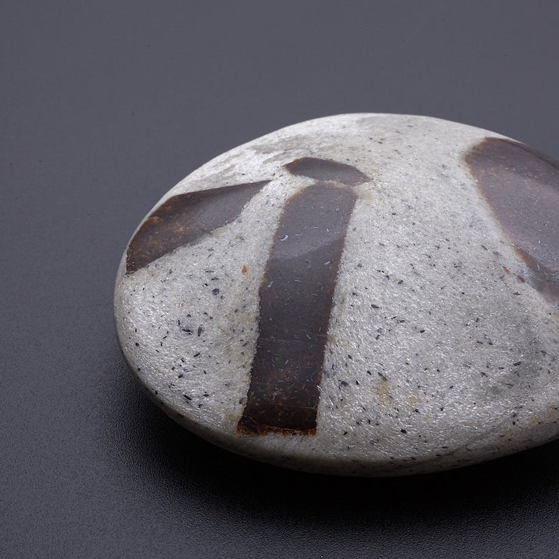 スタウロライト_2211A