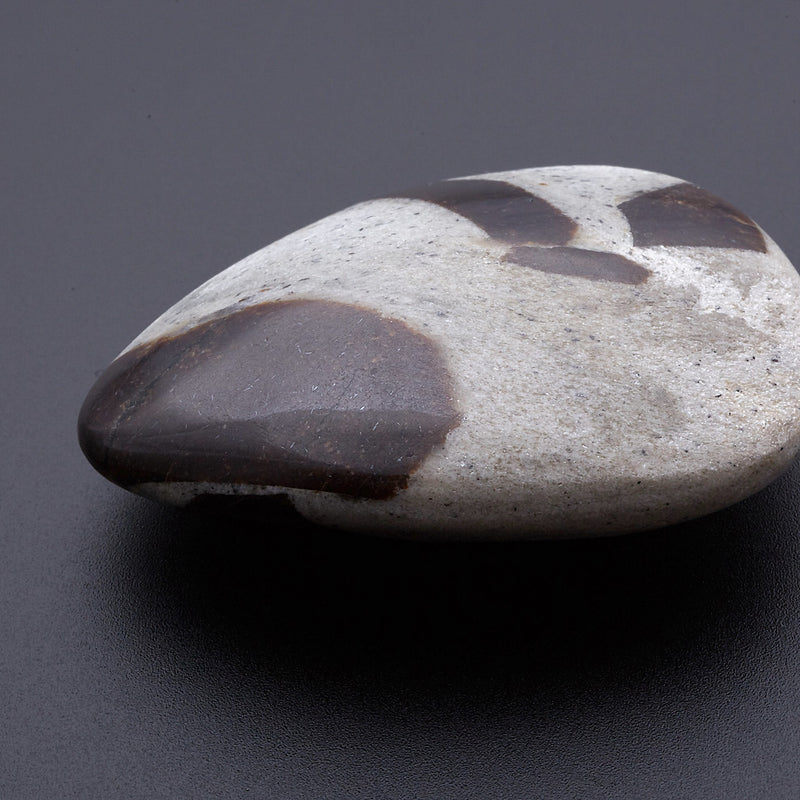 スタウロライト_2211A