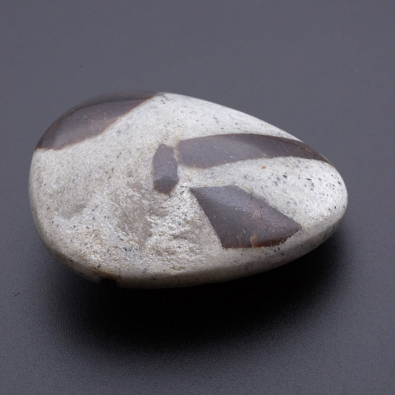 スタウロライト_2211A