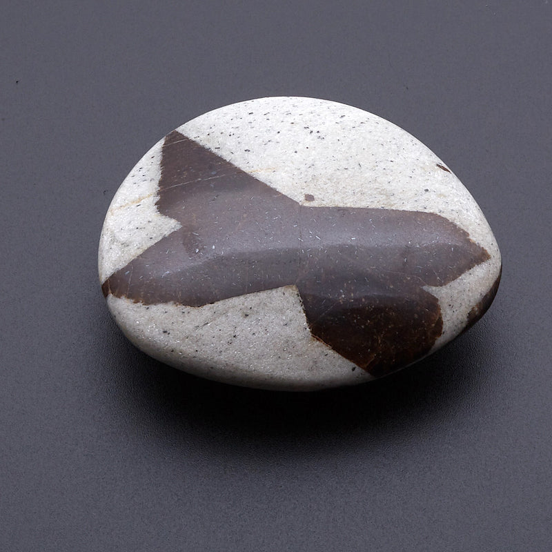 スタウロライト_2211A