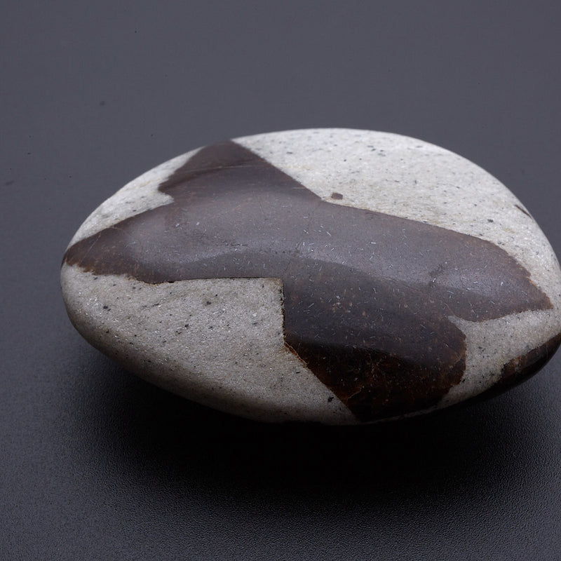 スタウロライト_2211A