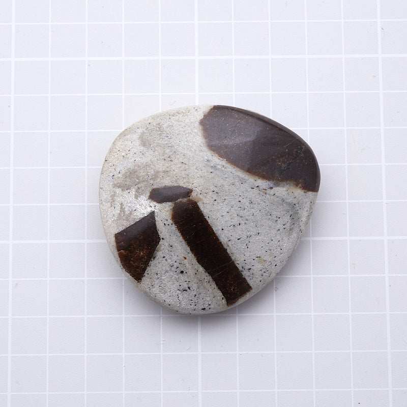 スタウロライト_2211A