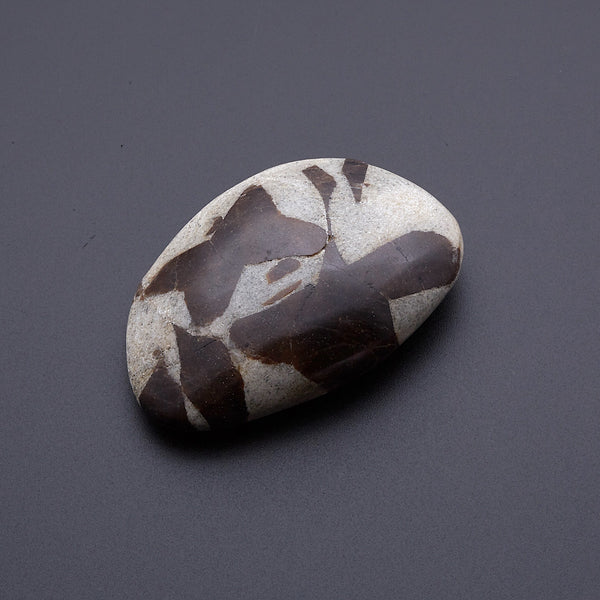 スタウロライト_2211B