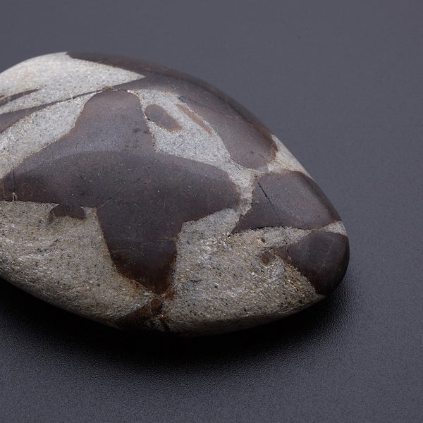 スタウロライト_2211B