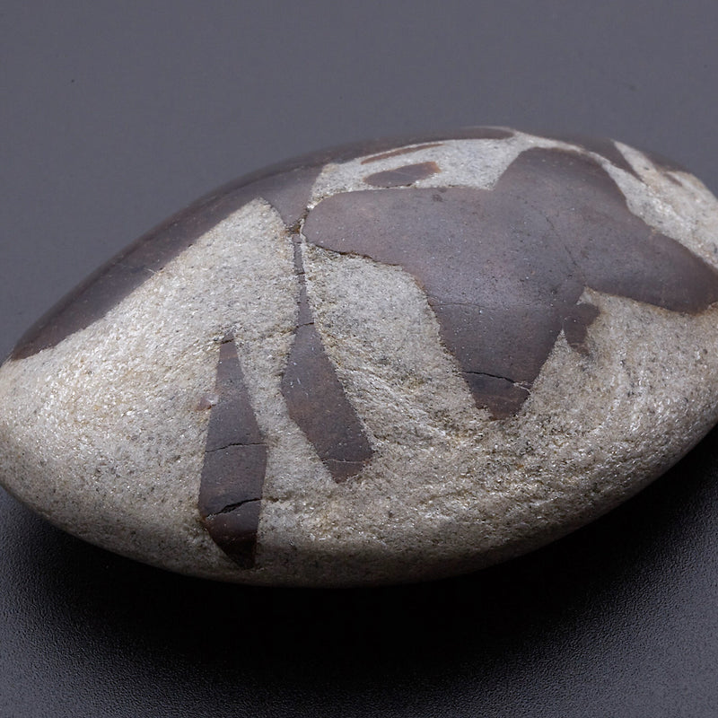 スタウロライト_2211B