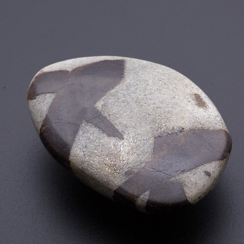 スタウロライト_2211B