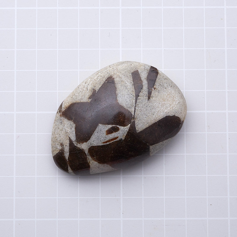 スタウロライト_2211B