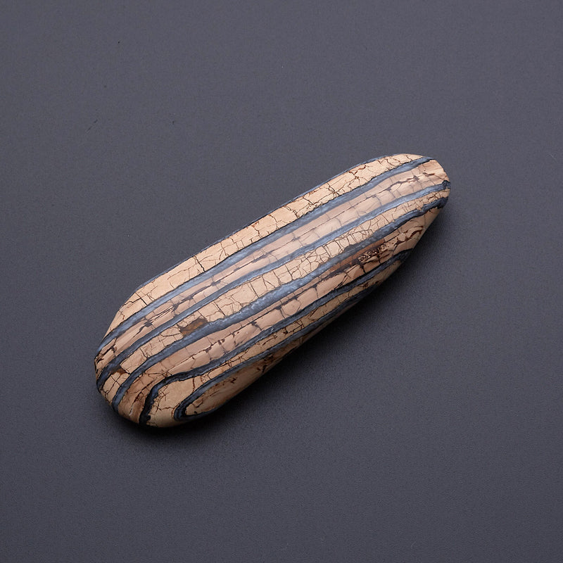 マンモスの歯の化石_2214A