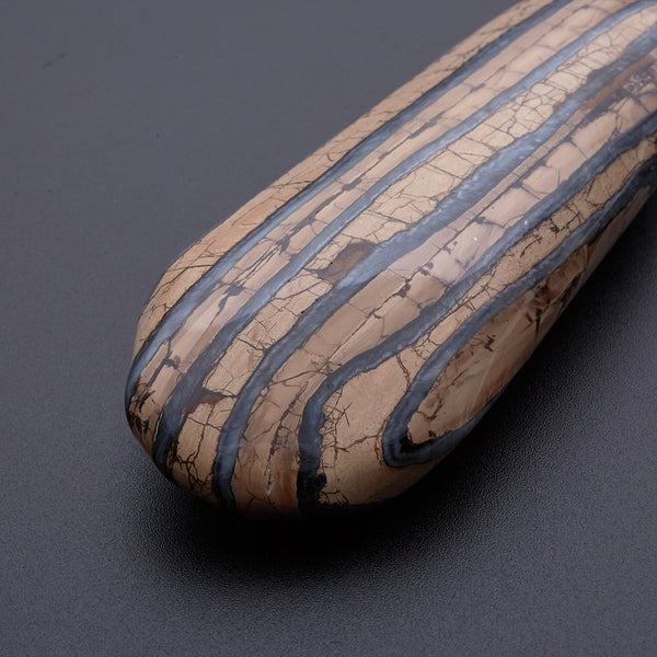 マンモスの歯の化石_2214A