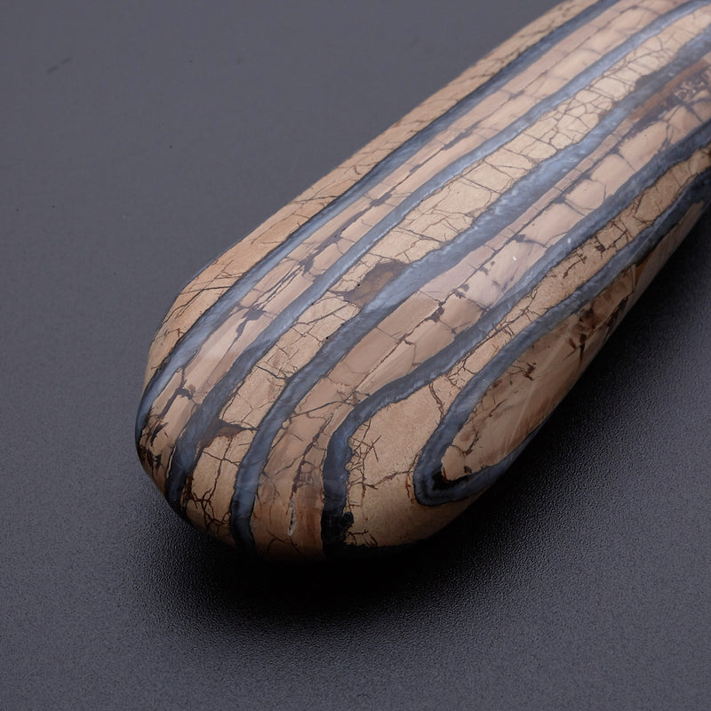 マンモスの歯の化石_2214A