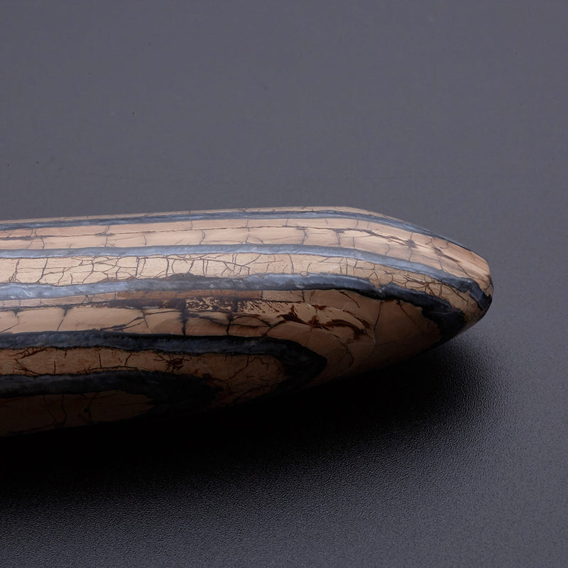 マンモスの歯の化石_2214A