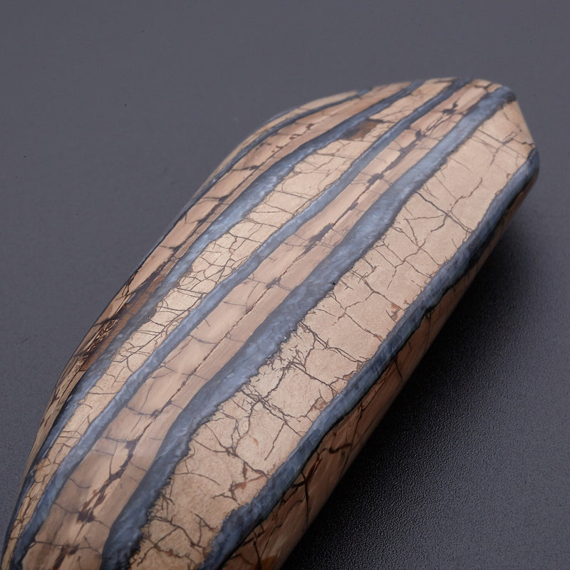 マンモスの歯の化石_2214A