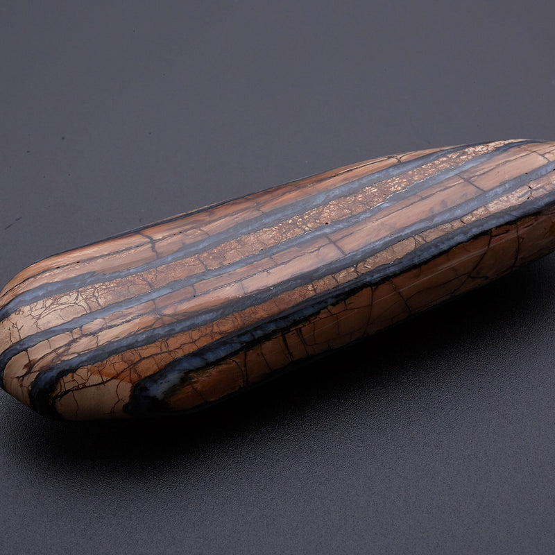 マンモスの歯の化石_2214A