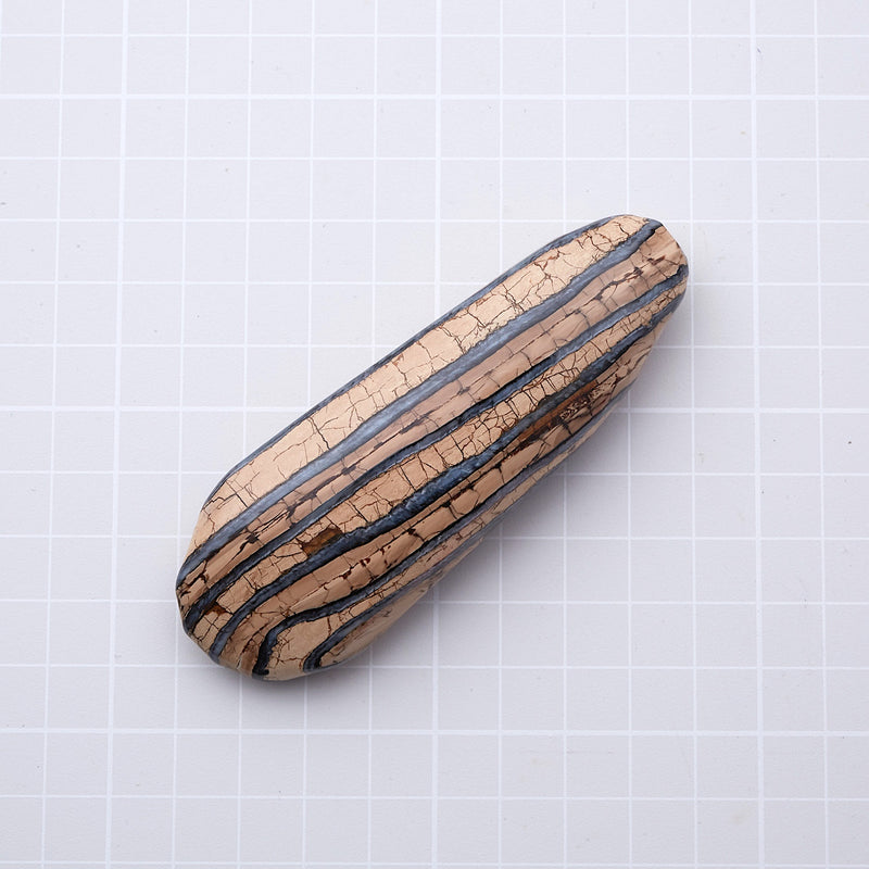 マンモスの歯の化石_2214A