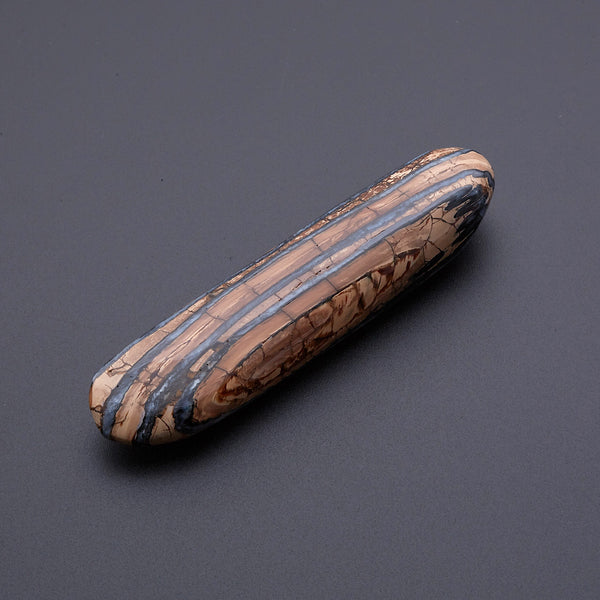 マンモスの歯の化石_2214B